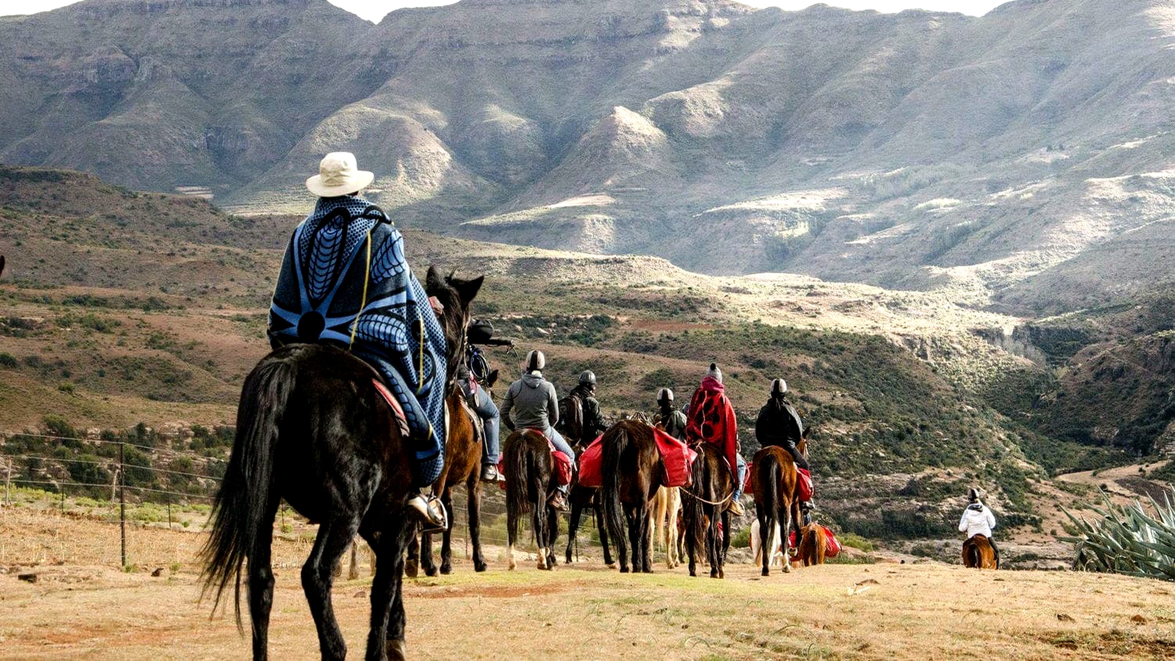 Basotho pony and rider in the mountains